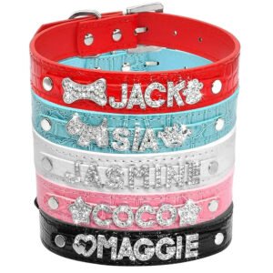 collana-per-gatto-con-strass-personalizzabile-1