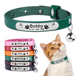 collana-per-gatto-in-pelle-personalizzabile-1