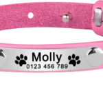 Collana per Gatto in Pelle Personalizzabile - Photo 6