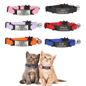 collana-per-gatto-personalizzata-1-1