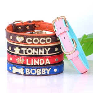collana-per-gatto-personalizzata-con-nome-1