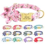 Collana Personalizzabile per Cani con Guinzaglio - Photo 1