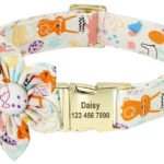 Collana Personalizzabile per Cani con Guinzaglio - Photo 2