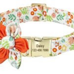 Collana Personalizzabile per Cani con Guinzaglio - Photo 3