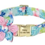 Collana Personalizzabile per Cani con Guinzaglio - Photo 4