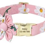 Collana Personalizzabile per Cani con Guinzaglio - Photo 5