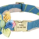 Collana Personalizzabile per Cani con Guinzaglio - Photo 6