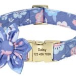 Collana Personalizzabile per Cani con Guinzaglio - Photo 9