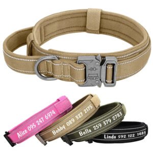 collana-personalizzata-per-cane-grande-1