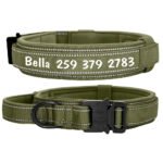 Collare Cane Personalizzato Nome - Photo 4