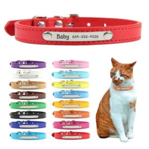 collana-personalizzata-per-gatto-1