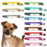 Collare Cane da Personalizzare - Photo 1