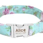 Collare Cane Personalizzato con Nome - Photo 14