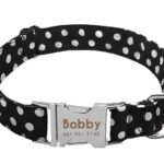 Collare Cane Personalizzato con Nome - Photo 16