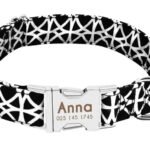 Collare Cane Personalizzato con Nome - Photo 18