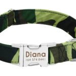 Collare Cane Personalizzato con Nome - Photo 5