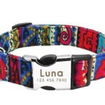 Collare Cane Personalizzato con Nome - Photo 7