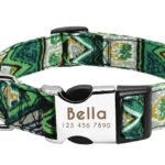 Collare Cane Personalizzato con Nome - Photo 8