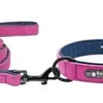 Collare e Guinzaglio per Cani Personalizzati - Photo 4