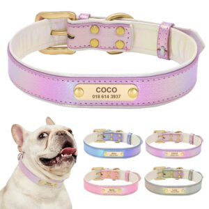 collare-fluorescente-per-cani-personalizzato-1