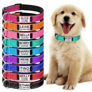 collare-per-cane-personalizzato-1