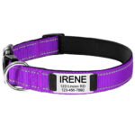 Collare per Cane Personalizzato - Photo 10