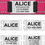 Collare per Cane Personalizzato - Photo 11