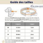 Collare per Cane Personalizzato - Photo 12