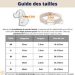 Collare per Cani con Strass - Photo 10