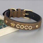 Collare per Cani Personalizzabile - Photo 5