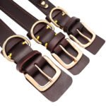 Collare Personalizzabile Cane - Photo 6