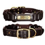 Collare Personalizzato Cane Caccia - Photo 3