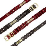 Collare Personalizzato Cane Caccia - Photo 4