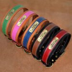 Collare Personalizzato per Cani - Photo 1