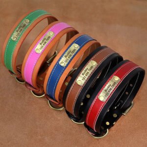 Collare Personalizzato per Cani - Photo 1