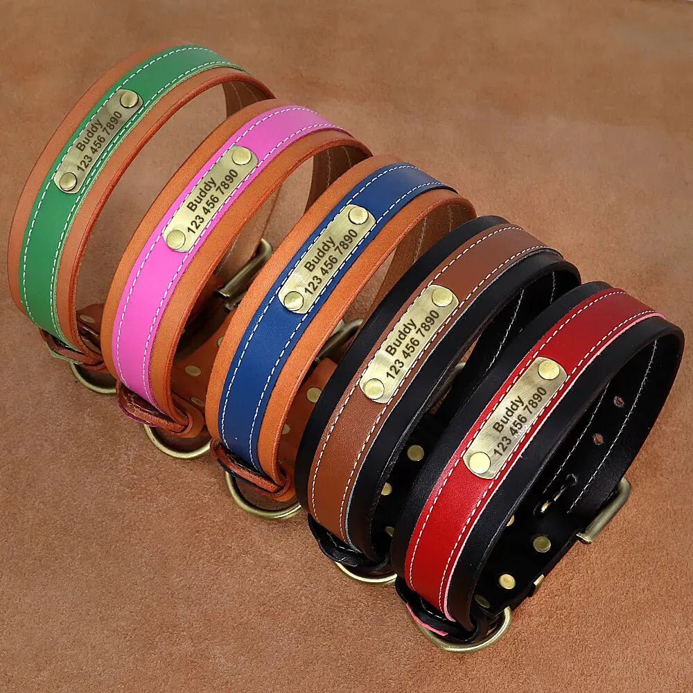 Collare Personalizzato per Cani - Photo 1