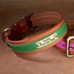 Collare Personalizzato per Cani - Photo 4