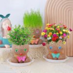 Testa a Spinta - Photo 1